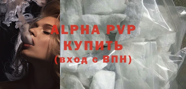 гидра Абаза