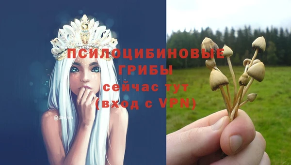 гидропоника Абдулино