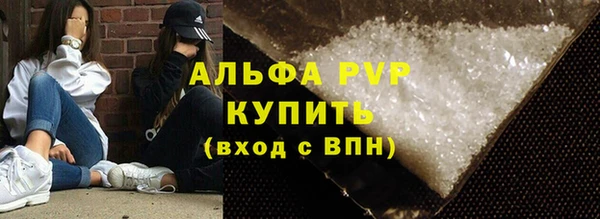 гидра Абаза