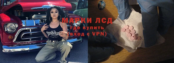 гидра Абаза