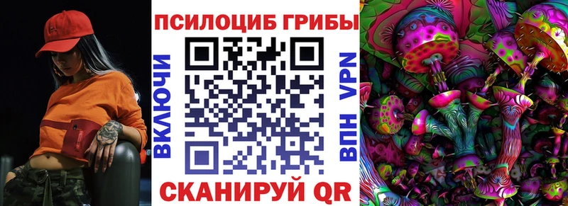 даркнет сайт  Зубцов  Галлюциногенные грибы Psilocybe 